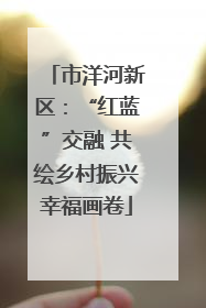 市洋河新区：“红蓝”交融 共绘乡村振兴幸福画卷