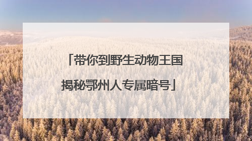 带你到野生动物王国揭秘鄂州人专属暗号
