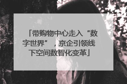 带购物中心走入“数字世界”，京企引领线下空间数智化变革