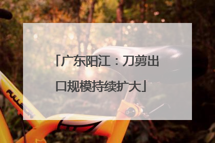 广东阳江：刀剪出口规模持续扩大