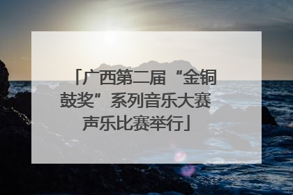 广西第二届“金铜鼓奖”系列音乐大赛声乐比赛举行