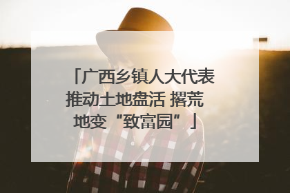 广西乡镇人大代表推动土地盘活 撂荒地变“致富园”