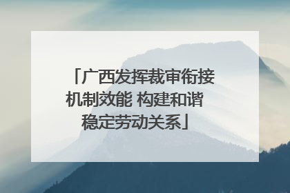 广西发挥裁审衔接机制效能 构建和谐稳定劳动关系