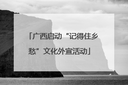 广西启动“记得住乡愁”文化外宣活动
