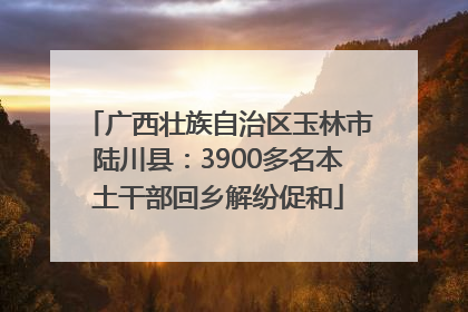 广西壮族自治区玉林市陆川县：3900多名本土干部回乡解纷促和