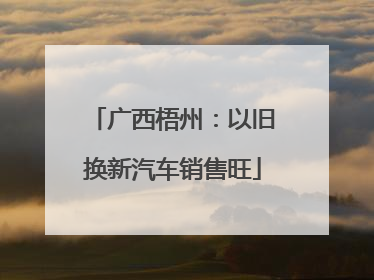 广西梧州：以旧换新汽车销售旺