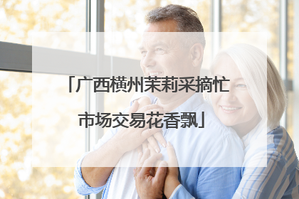 广西横州茉莉采摘忙 市场交易花香飘