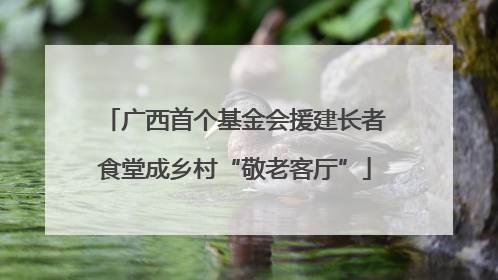 广西首个基金会援建长者食堂成乡村“敬老客厅”