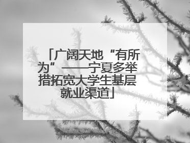 广阔天地“有所为”——宁夏多举措拓宽大学生基层就业渠道