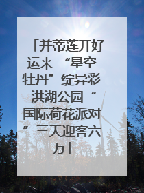 并蒂莲开好运来 “星空牡丹”绽异彩 洪湖公园“国际荷花派对”三天迎客六万