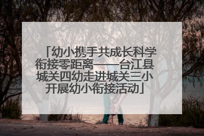 幼小携手共成长科学衔接零距离——台江县城关四幼走进城关三小开展幼小衔接活动