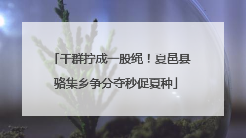 干群拧成一股绳！夏邑县骆集乡争分夺秒促夏种