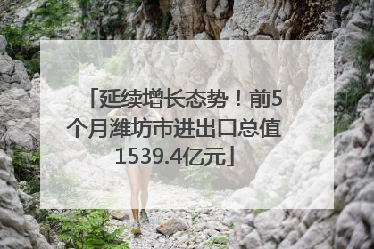 延续增长态势！前5个月潍坊市进出口总值1539.4亿元