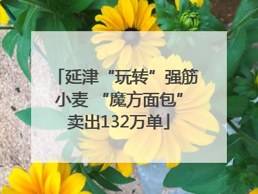 延津“玩转”强筋小麦 “魔方面包”卖出132万单