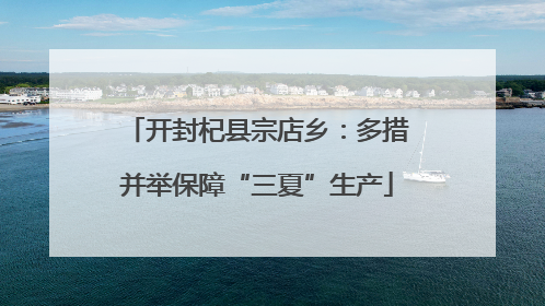 开封杞县宗店乡：多措并举保障“三夏”生产