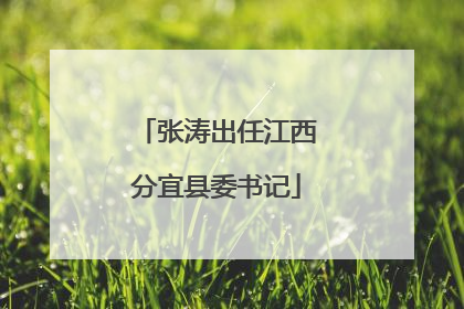张涛出任江西分宜县委书记