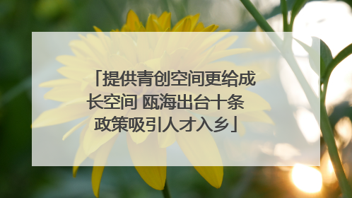提供青创空间更给成长空间 瓯海出台十条政策吸引人才入乡