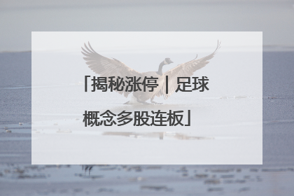 揭秘涨停｜足球概念多股连板
