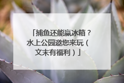 捕鱼还能赢冰箱？水上公园邀您来玩（文末有福利）