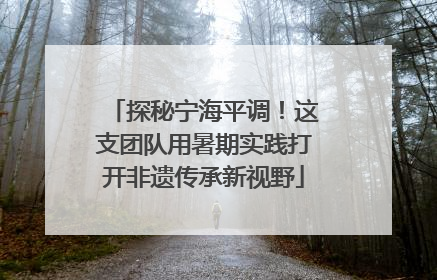 探秘宁海平调！这支团队用暑期实践打开非遗传承新视野