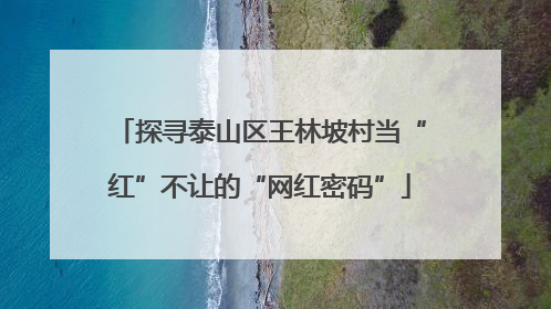 探寻泰山区王林坡村当“红”不让的“网红密码”