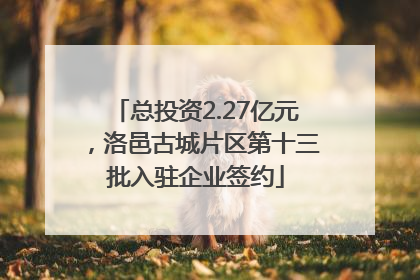 总投资2.27亿元，洛邑古城片区第十三批入驻企业签约