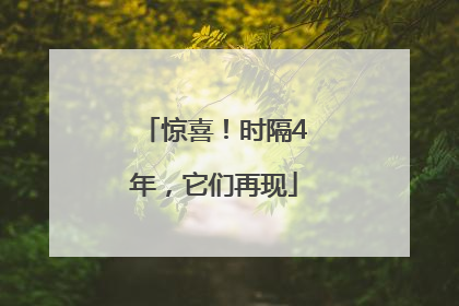 惊喜！时隔4年，它们再现