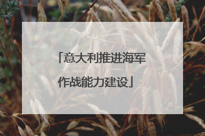 意大利推进海军作战能力建设