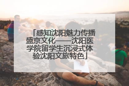 感知沈阳魅力传播盛京文化——沈阳医学院留学生沉浸式体验沈阳文旅特色