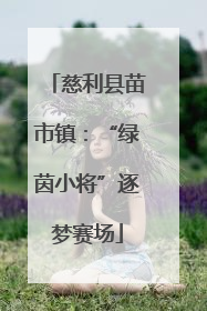 慈利县苗市镇：“绿茵小将”逐梦赛场