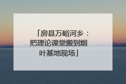 房县万峪河乡：把理论课堂搬到烟叶基地现场