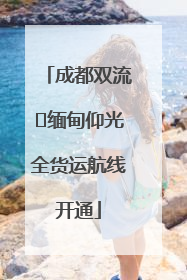 成都双流⇌缅甸仰光全货运航线开通