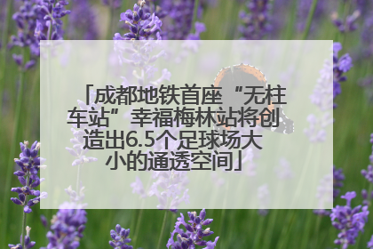 成都地铁首座“无柱车站”幸福梅林站将创造出6.5个足球场大小的通透空间