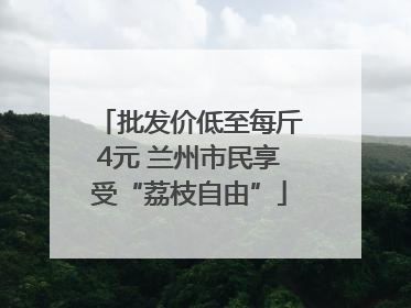 批发价低至每斤4元 兰州市民享受“荔枝自由”