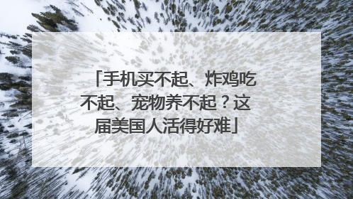 手机买不起、炸鸡吃不起、宠物养不起？这届美国人活得好难