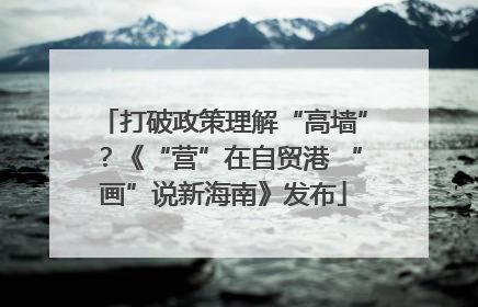 打破政策理解“高墙”？《“营”在自贸港 “画”说新海南》发布