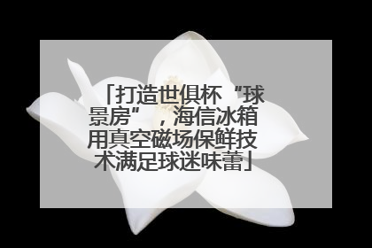 打造世俱杯“球景房”，海信冰箱用真空磁场保鲜技术满足球迷味蕾