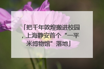 把千年敦煌搬进校园，上海静安首个“一平米博物馆”落地