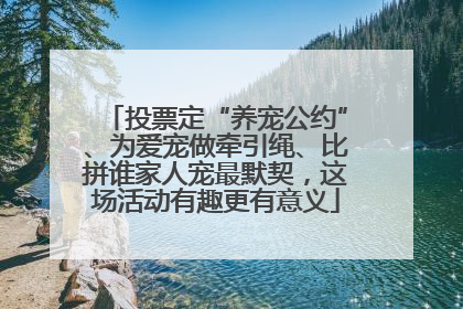 投票定“养宠公约”、为爱宠做牵引绳、比拼谁家人宠最默契，这场活动有趣更有意义