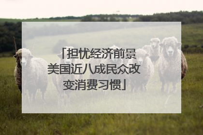 担忧经济前景 美国近八成民众改变消费习惯