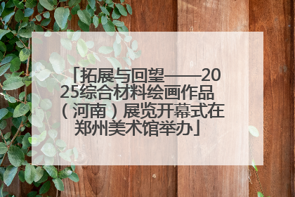拓展与回望——2025综合材料绘画作品（河南）展览开幕式在郑州美术馆举办