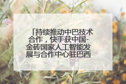 持续推动中巴技术合作，快手获中国-金砖国家人工智能发展与合作中心驻巴西成果转化中心授牌