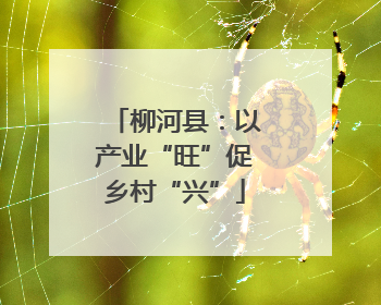 柳河县：以产业“旺”促乡村“兴”