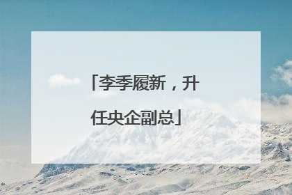 李季履新，升任央企副总