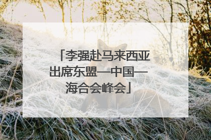 李强赴马来西亚出席东盟—中国—海合会峰会