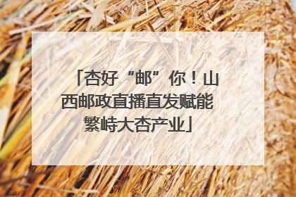 杏好“邮”你！山西邮政直播直发赋能繁峙大杏产业