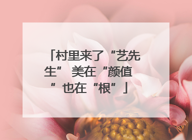 村里来了“艺先生” 美在“颜值”也在“根”
