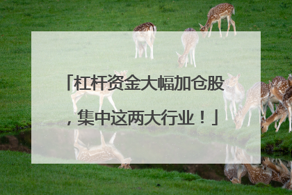 杠杆资金大幅加仓股，集中这两大行业！