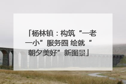 杨林镇：构筑“一老一小”服务圈 绘就“朝夕美好”新图景