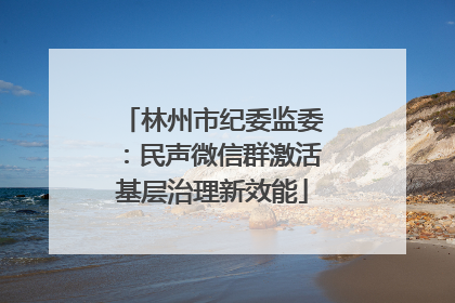林州市纪委监委：民声微信群激活基层治理新效能